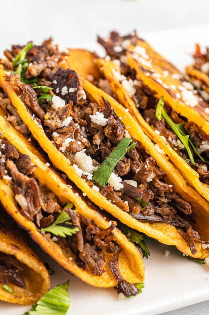 Side shot of stacked birria tacos