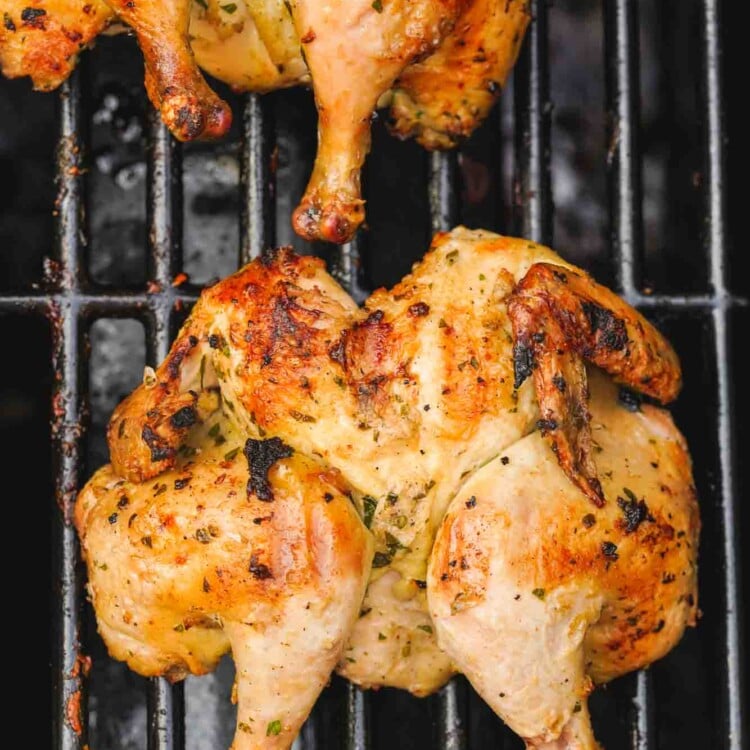 Overhead shot of 2 grilled butterflied cornish hens placed on the grill grates